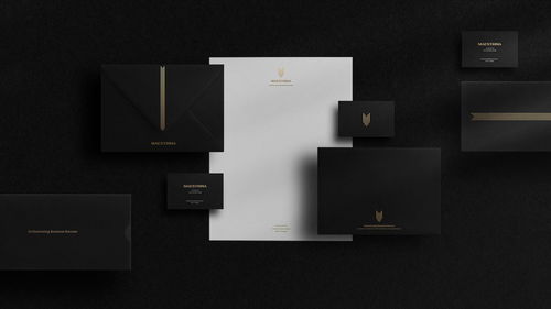 巴西商業(yè)咨詢公司maestrina品牌設(shè)計(jì)